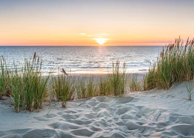 Palm trees and beach view